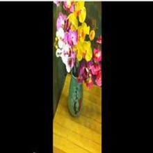 STAGE TUBE: Alice Ripley Flips/Sings 'Wish You Were Here'